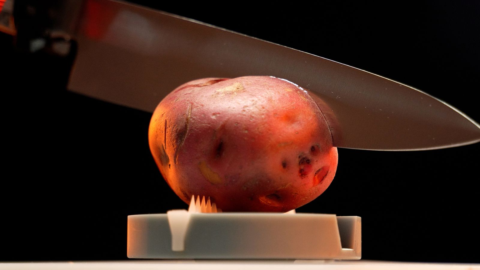 Image may contain Food Plant Potato Produce Vegetable Cutlery and Fork