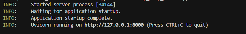 MCP Server Process Starting